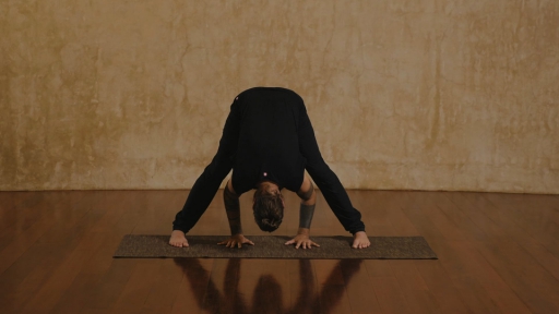 moon-1-asana